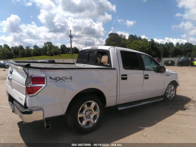 1FTFW1EF7EFA06779 Ford F-150 Xl/xlt/stx/fx4/lariat