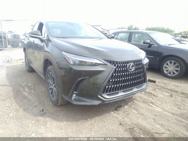 2022 Lexus NX, VIN: 2T2GDCEZ7NC001196
