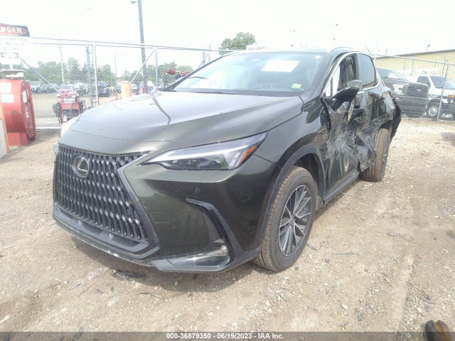 2022 Lexus NX, VIN: 2T2GDCEZ7NC001196