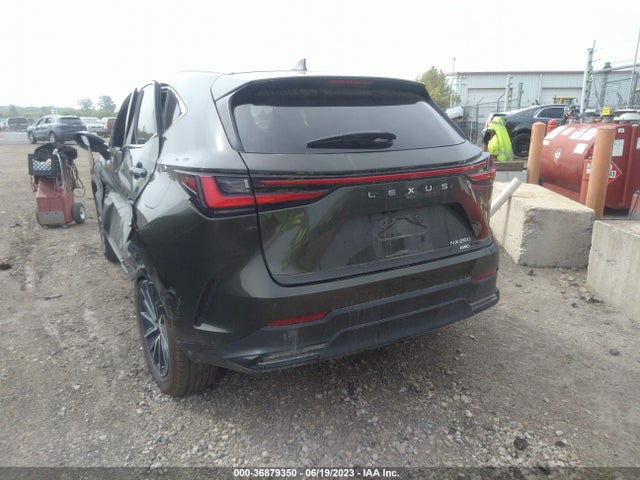 2022 Lexus NX, VIN: 2T2GDCEZ7NC001196