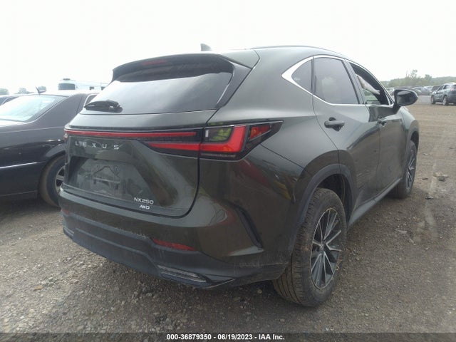 2022 Lexus NX, VIN: 2T2GDCEZ7NC001196