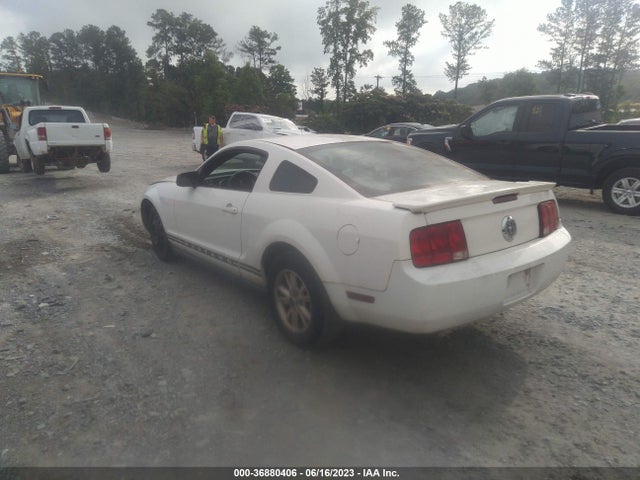 2008 FORD MUSTANG DELUXE/PREMIUM VIN: 1ZVHT80N585143283