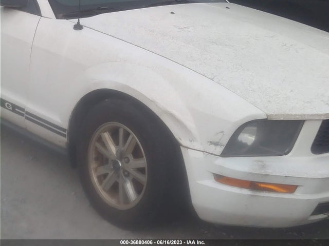 2008 FORD MUSTANG DELUXE/PREMIUM VIN: 1ZVHT80N585143283