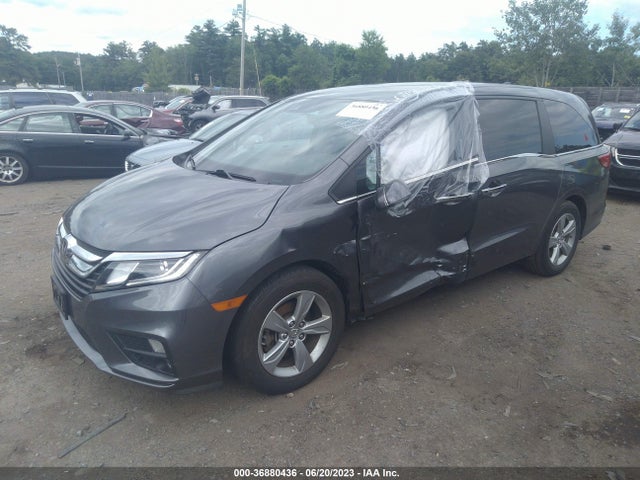 Honda ODYSSEY EX 2019 5FNRL6H50KB007598 Image 2