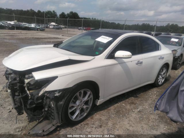 1N4AA5AP6EC488859 Nissan Maxima 3.5 Sv W/premium Pkg