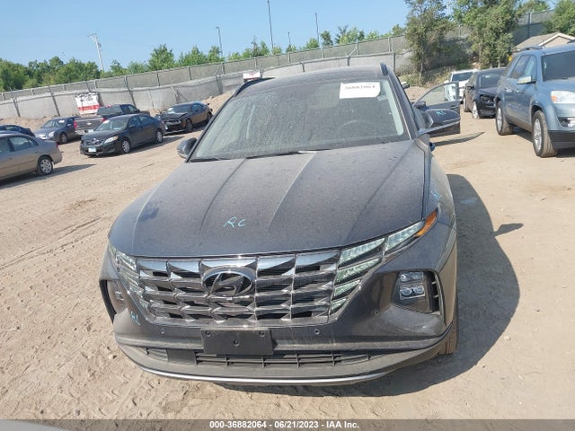 Hyundai Tucson Limited 2023 5NMJECAE3PH208806 Image 4