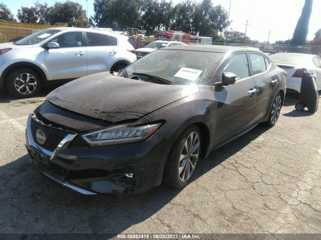 Nissan Maxima Platinum 2023 1N4AA6FV2PC502353 Image 2