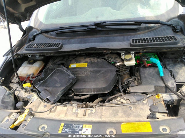 Ford ESCAPE SE 2014 1FMCU0GX7EUB62711 Image 7