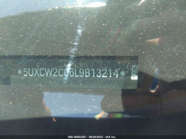 5UXCW2C06L9B13214 BMW X7 Xdrive40i
