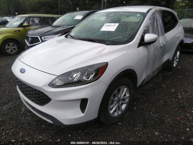 1FMCU9G64LUB80544 Ford ESCAPE SE