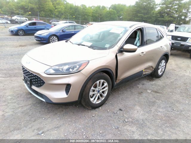 2020 FORD ESCAPE 1FMCU0G67LUB92991 Photo 1
