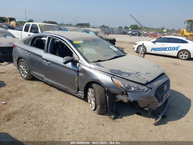 Hyundai SONATA SE 2019 5NPE24AF5KH780500 главное изображение