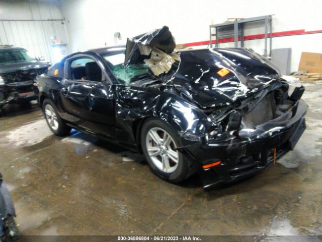 1ZVBP8AM8E5252283 auction archive image