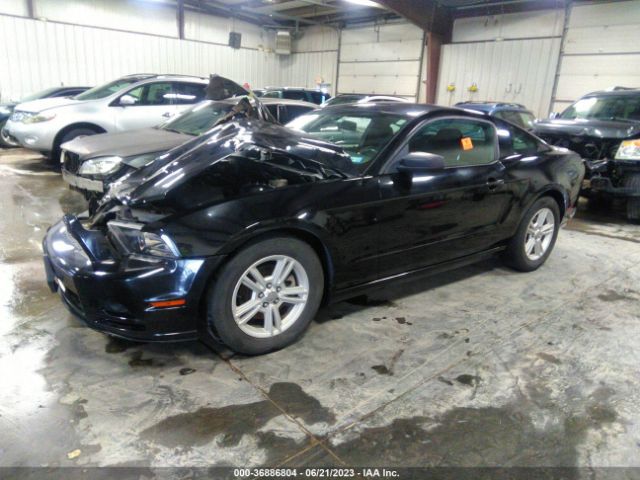 1ZVBP8AM8E5252283 Ford Mustang V6