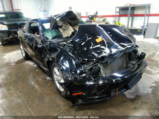 1ZVBP8AM8E5252283 Ford Mustang V6