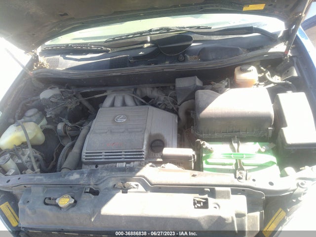 2002 LEXUS RX 300 VIN: JTJHF10UX20241235