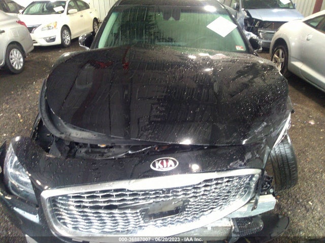 2019 Kia K900, VIN: KNAS24J63K6009530