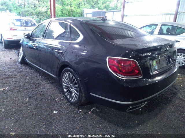 2019 Kia K900, VIN: KNAS24J63K6009530