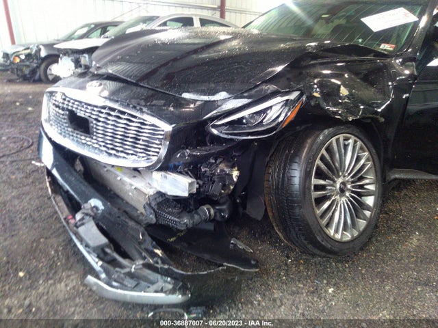 2019 Kia K900, VIN: KNAS24J63K6009530