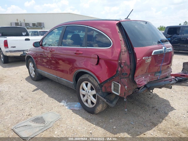 2009 HONDA CR-V EX-L VIN: 5J6RE38739L034029