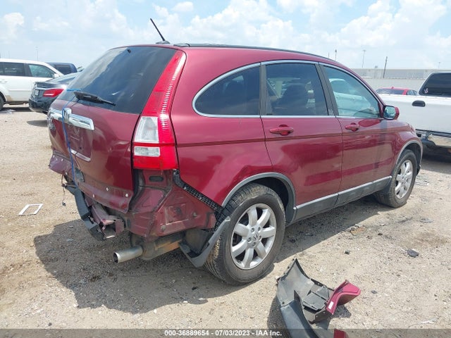 2009 HONDA CR-V EX-L VIN: 5J6RE38739L034029