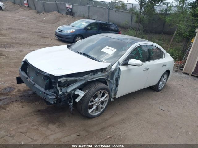 1N4AA5AP1EC443974 Nissan Maxima 3.5 Sv W/premium Pkg