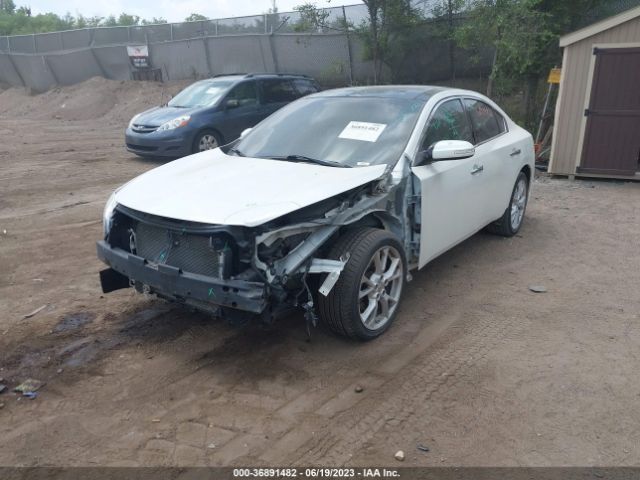 1N4AA5AP1EC443974 Nissan Maxima 3.5 Sv W/premium Pkg