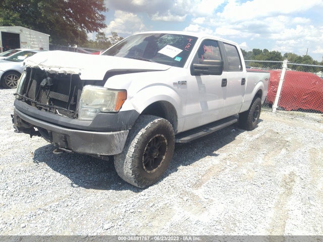2010 FORD F-150 XL/XLT VIN: 1FTFW1E86AFC11361