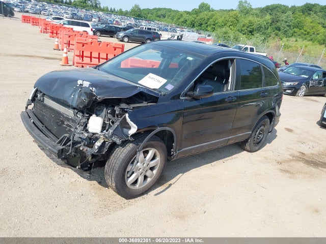 2009 HONDA CR-V EX-L VIN: 5J6RE48719L062210