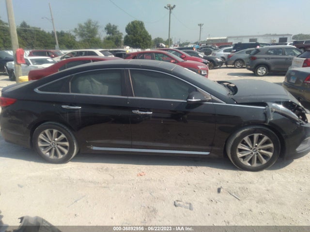 Hyundai Sonata Sport 2017 5NPE34AF2HH551228 Image 5