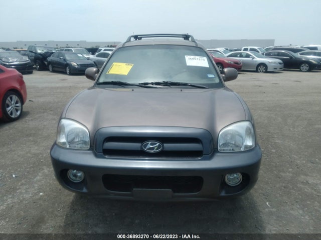 2005 HYUNDAI SANTA FE GLS/LX VIN: KM8SC13E15U891621