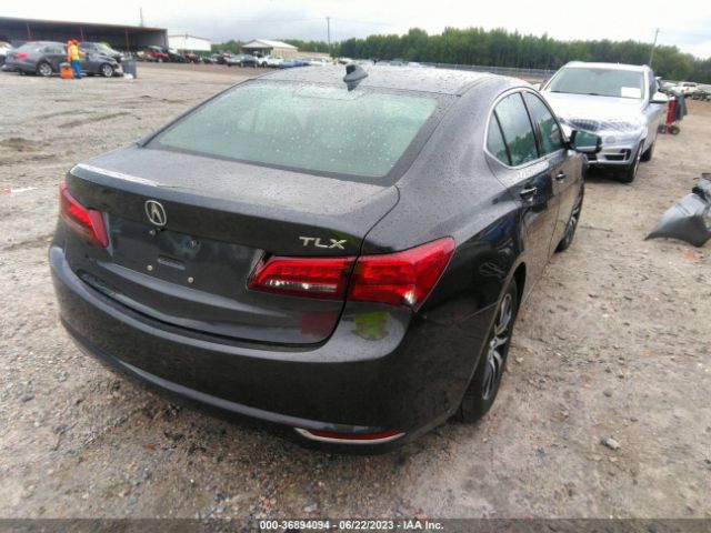 19UUB1F34FA019352 Acura TLX