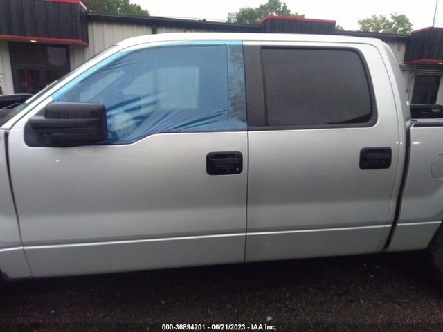 2009 FORD F-150 XL/XLT VIN: 1FTRW12899FB33493
