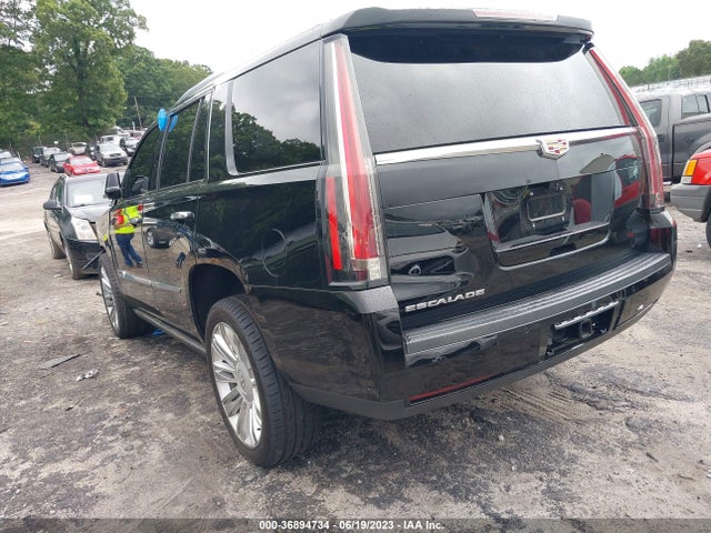 1GYS4DKJ6LR210042 Cadillac Escalade Platinum