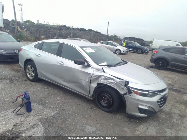 2019 1G1ZB5ST7KF227278 main image