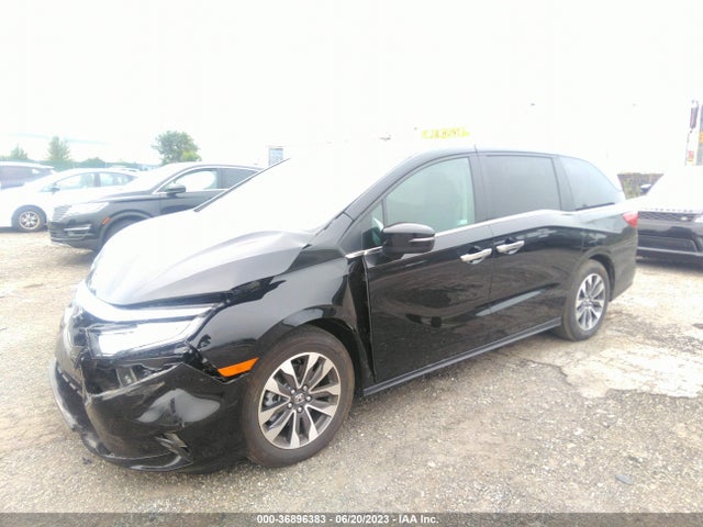 Honda Odyssey Ex-l 2023 5FNRL6H65PB046137 Image 2