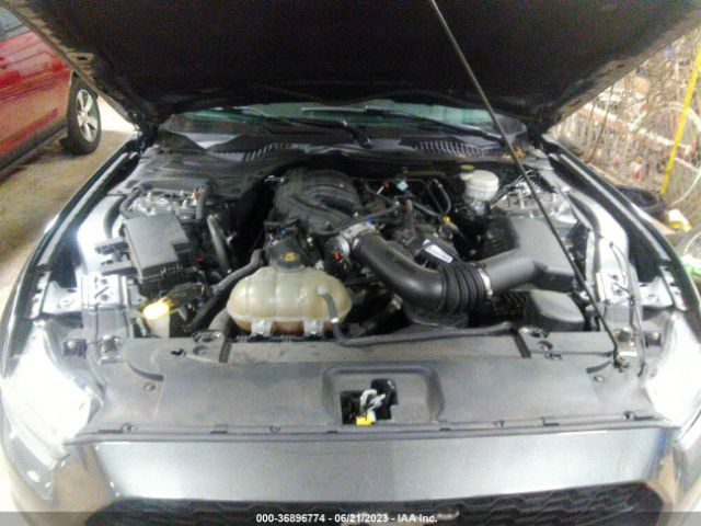 1FA6P8AM4G5243464 Ford Mustang V6