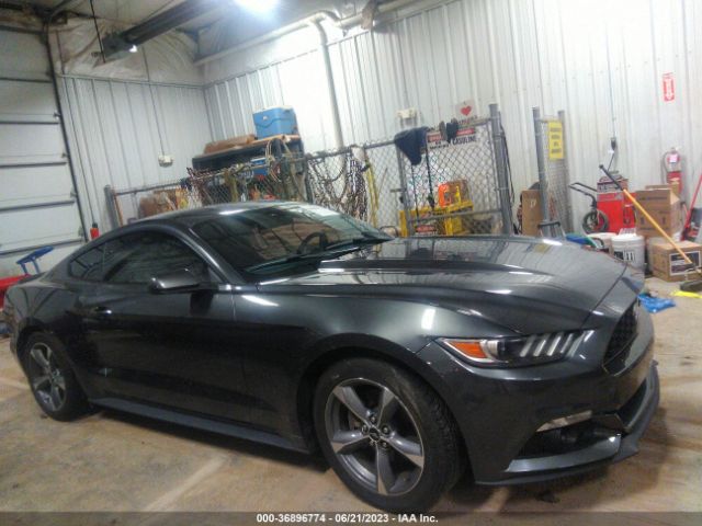 1FA6P8AM4G5243464 Ford Mustang V6