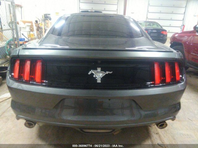 1FA6P8AM4G5243464 Ford Mustang V6
