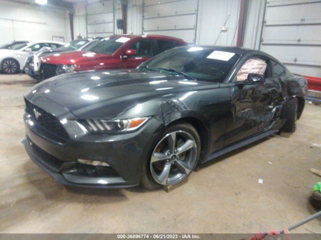1FA6P8AM4G5243464 Ford Mustang V6