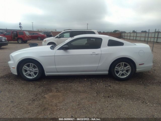 1ZVBP8AM9E5252373 Ford Mustang V6