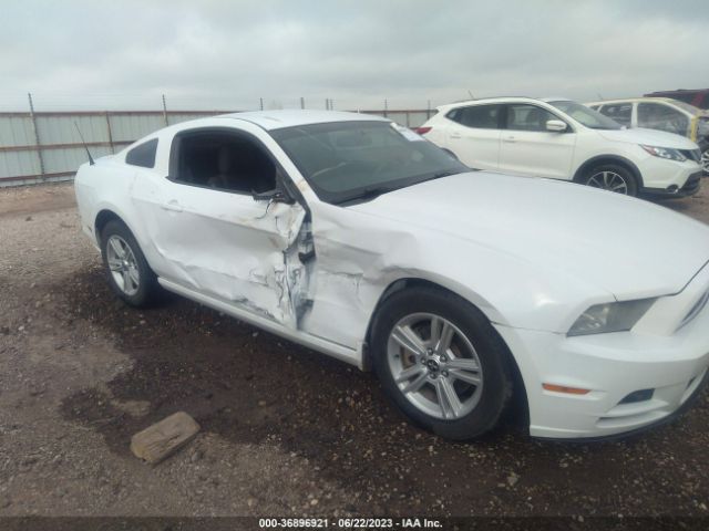 1ZVBP8AM9E5252373 Ford Mustang V6