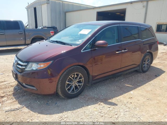 5FNRL5H63FB104660 Honda Odyssey Ex-l