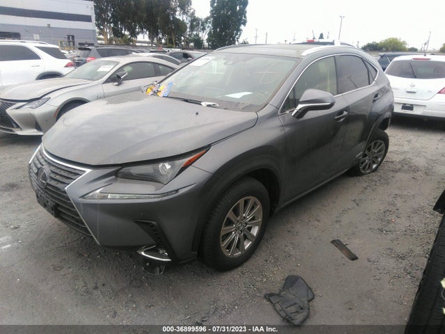 JTJDJRDZ4M2167691 Lexus Nx Nx 300h