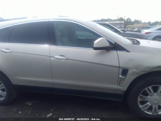 2010 CADILLAC SRX LUXURY COLLECTION VIN: 3GYFNAEY3AS579313