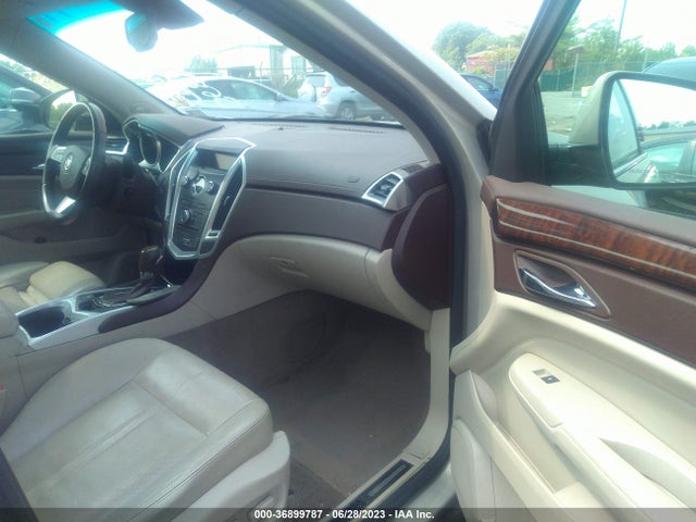 2010 CADILLAC SRX LUXURY COLLECTION VIN: 3GYFNAEY3AS579313
