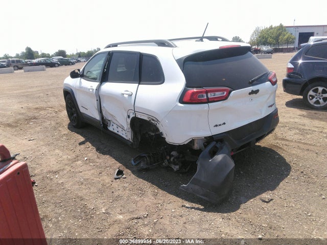 2015 JEEP CHEROKEE TRAILHAWK VIN: 1C4PJMBS2FW509448