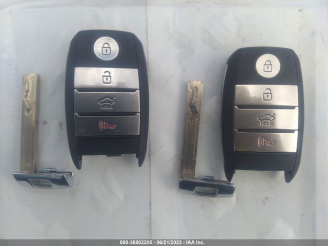 5XXGW4L25LG439344 KIA OPTIMA SX