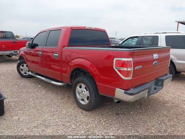 2010 FORD F-150 XL/XLT/FX2 SPORT VIN: 1FTEW1C89AFB20566