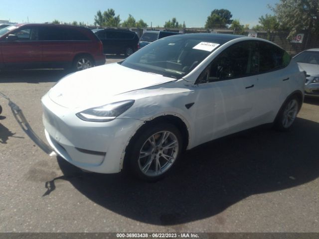 5YJYGDEE1MF067126 Tesla Model Y Long Range